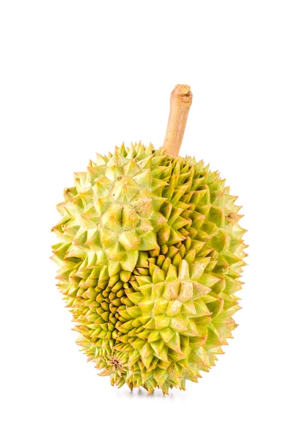 Durian fruit isolated white background — Stock Photo, Image