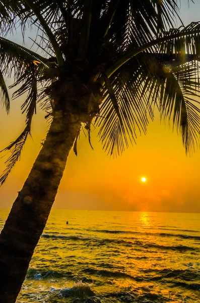 Silhouette Palme Sonnenuntergang — Stockfoto