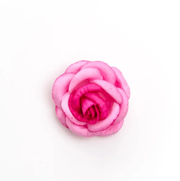 Ροζ τριαντάφυλλο απομονωμένο σε λευκό φόντο — Φωτογραφία Αρχείου