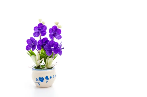 Fiori in vaso — Foto Stock