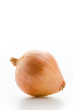 Soğan