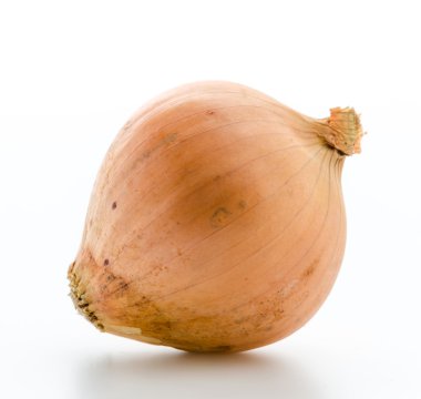Soğan
