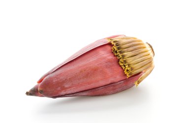 muz çiçeği