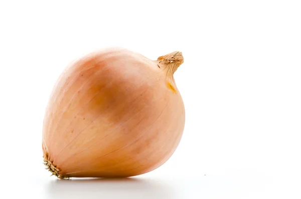 Onion — Stock Photo, Image