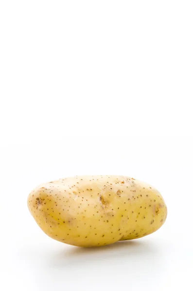 Potato — Stock Photo, Image