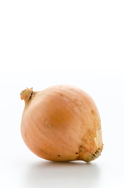 Onion — Stock Photo, Image