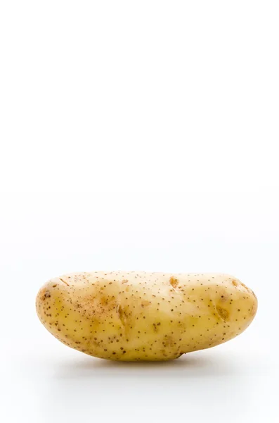 Potato — Stock Photo, Image