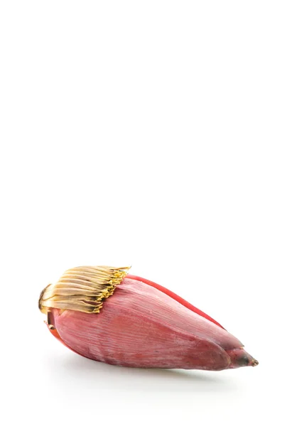 Banana blossom — Stock Photo, Image