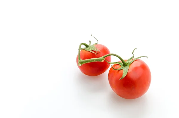 Tomaten — Stockfoto