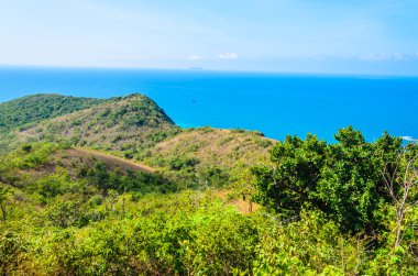 pattaya şehir Tayland Koh Larne Adası tropik beach