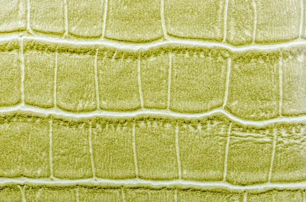 Textura de cuero verde fondo — Foto de Stock