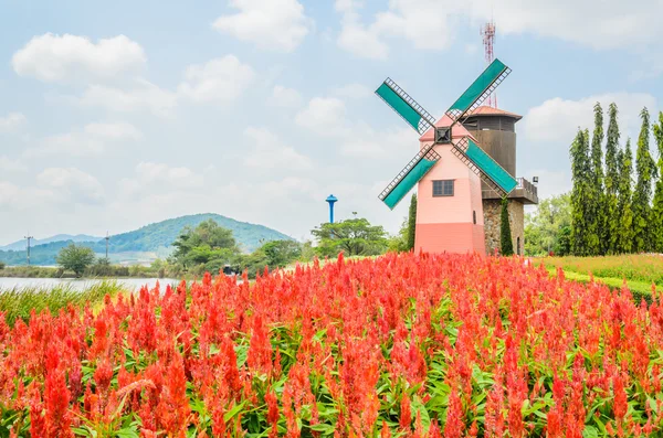 Windmühle — Stockfoto