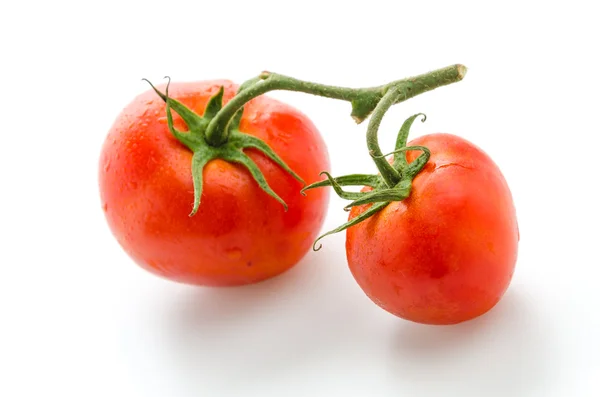 Tomatoes — Stock Photo, Image