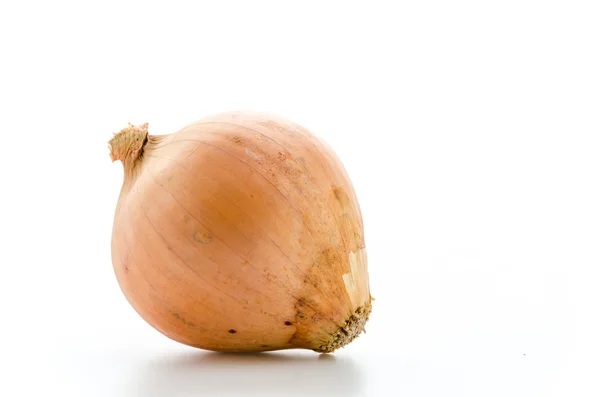 Onion — Stock Photo, Image