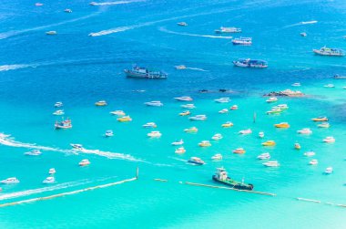 pattaya City Island tropikal plaj