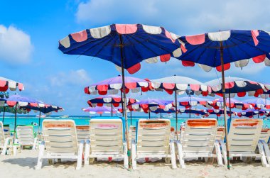 pattaya City tropikal plaj şezlong