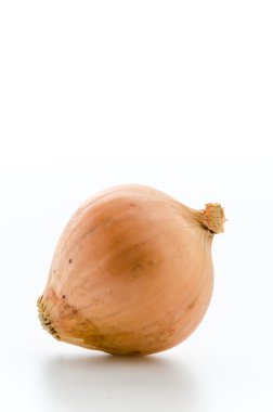 Soğan