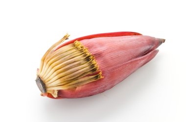 muz çiçeği