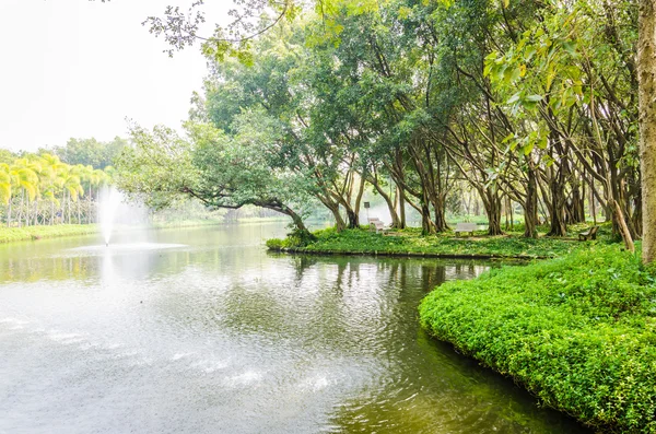 Parco della fontana — Foto Stock