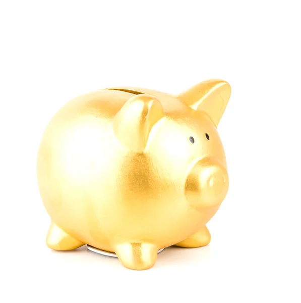 Gold piggy bank — Stock Photo, Image