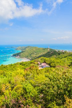 pattaya City tropikal plaj