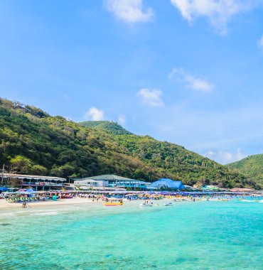 pattaya şehir Tayland Koh Larne Adası tropik beach
