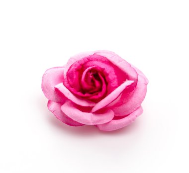 Pembe Gül beyaz arkaplanda izole edildi