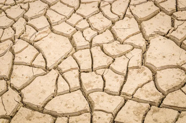 Cracked soil — Stock Photo, Image