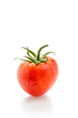 Domates beyazda izole.