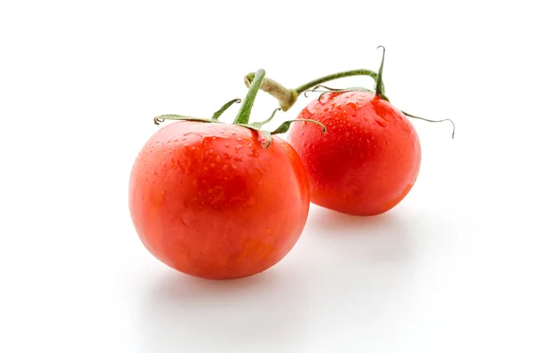 Tomate aislado sobre blanco — Foto de Stock