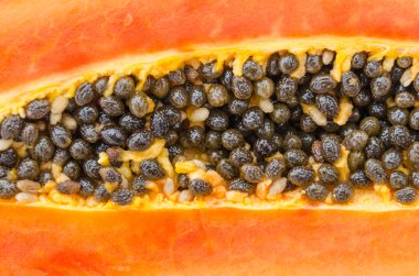 Papaya