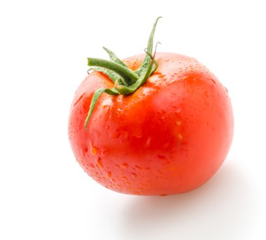 Domates beyazda izole.