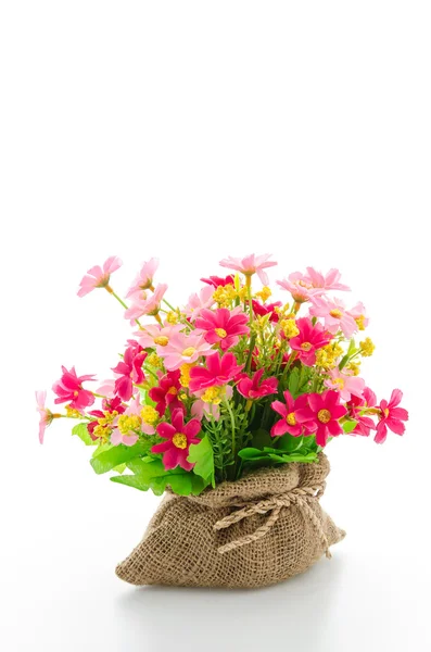 Boeket bloemen geïsoleerd op wit — Stockfoto