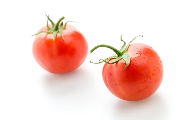 Tomate aislado sobre blanco — Foto de Stock