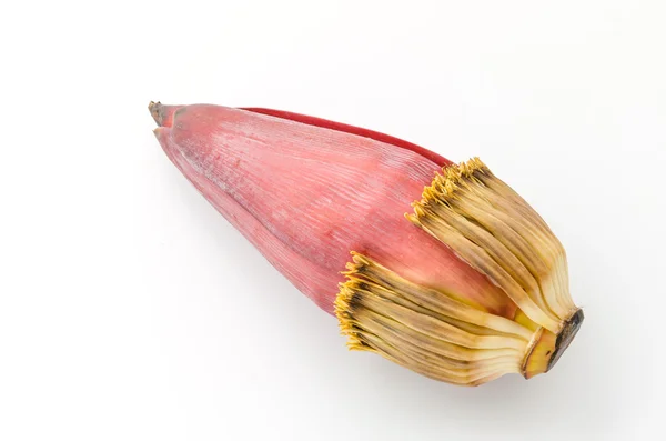 Banana blossom isolated on white — Stock Photo, Image