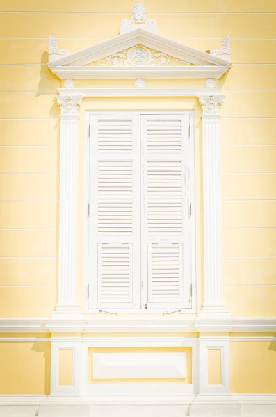 Old classic door and window — Stock Photo, Image
