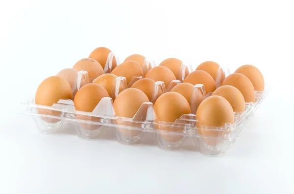 Eggs packed isolated white background — Stock Photo, Image