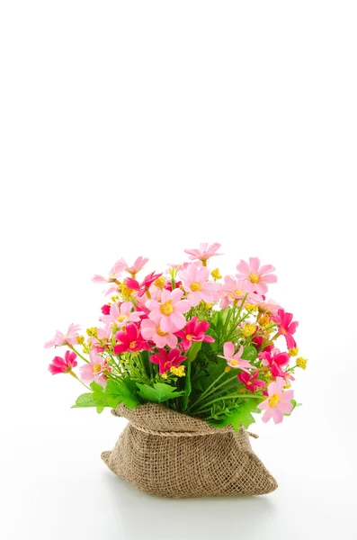 Boeket bloemen geïsoleerd op wit — Stockfoto