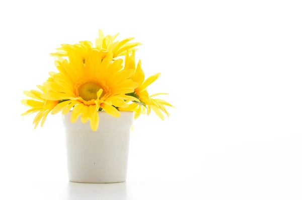 Bukett blommor isolerad på vit — Stockfoto