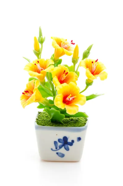 Yellow flower isolated white background — Stock Photo, Image