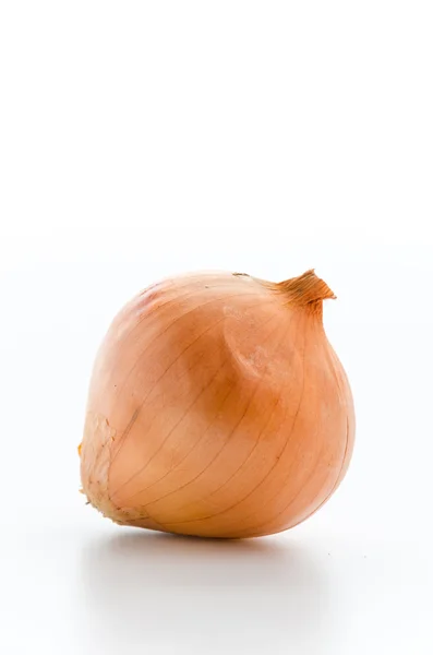 Cebolla aislada sobre blanco —  Fotos de Stock