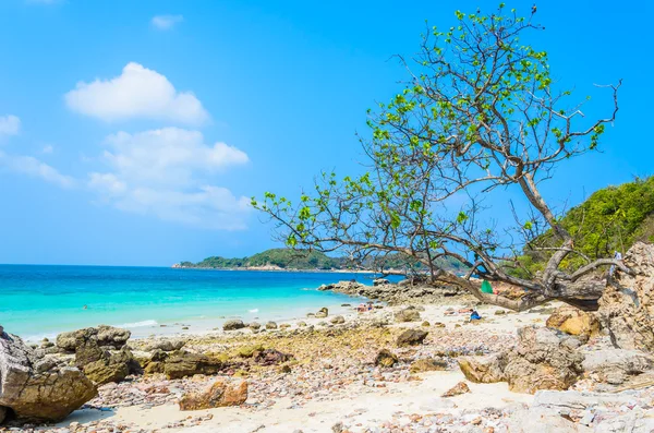 Pattaya beach — Stock fotografie