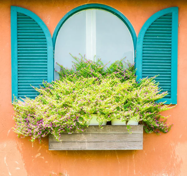 Ventana Toscana —  Fotos de Stock