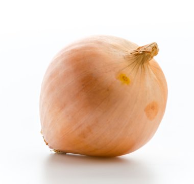 Beyaz üzerinde soğan izole