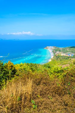 pattaya şehir Tayland Koh Larne Adası tropik beach