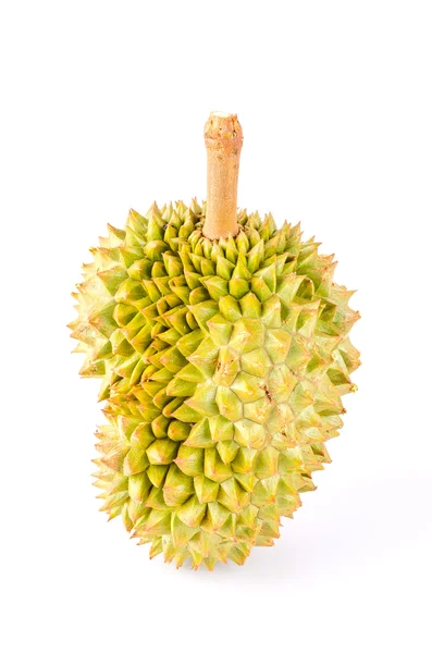 Durian fruit isolated white background — Stock Photo, Image