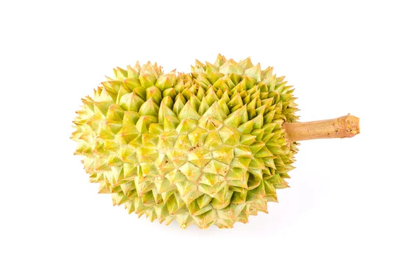 Fondo blanco aislado de fruta duriana —  Fotos de Stock