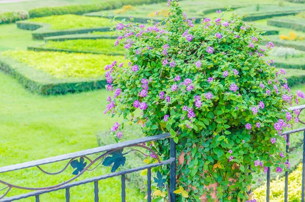 花の花瓶の装飾 — ストック写真