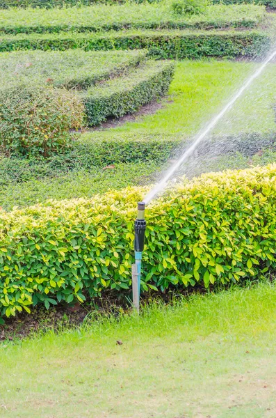 Spruzzare acqua — Foto Stock