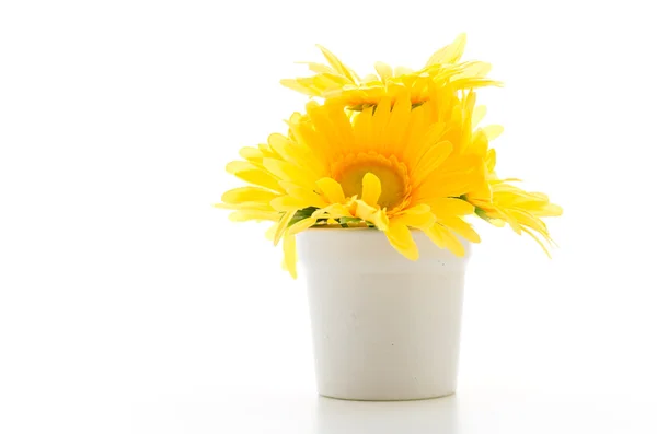 Bouquet flowers isolated on white — Stock Photo, Image